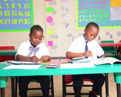 DSC_8900-scaled DSC_8900-scaled